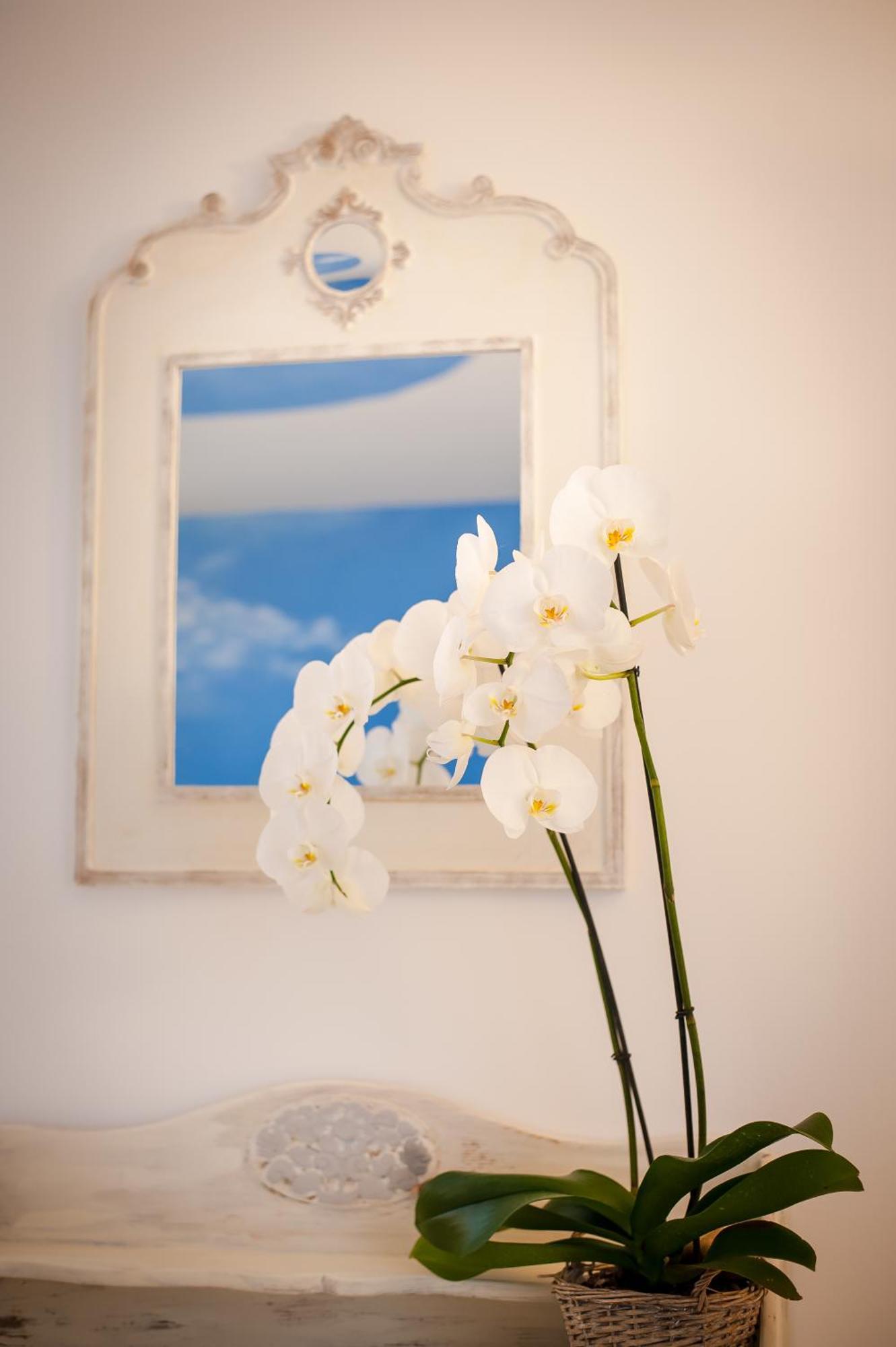 Les 4 Elements Tourrettes-sur-Loup Quarto foto