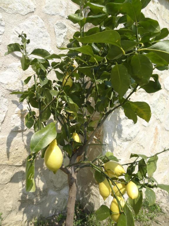 Les 4 Elements Tourrettes-sur-Loup Exterior foto